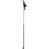 25132 1 nordic walking palice nils extreme nw 602