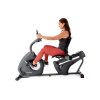 Recumbent Schwinn 510R 10