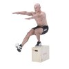 Plyo Box HMS DSC04 06